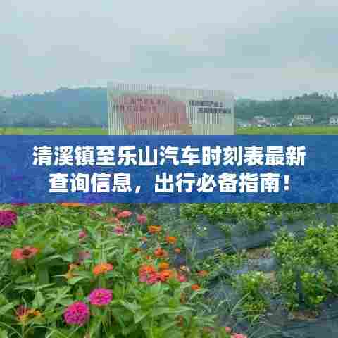 清溪镇至乐山汽车时刻表最新查询信息,出行必备指南!