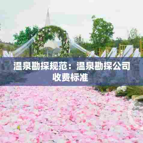 温泉勘探规范:温泉勘探公司收费标准