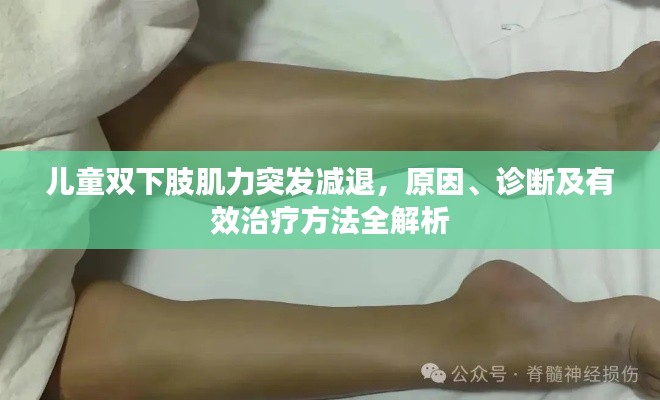 望其项背 第6页