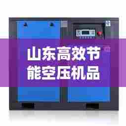 山东高效节能空压机品牌：山东空压机厂家电话 