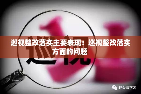巡视整改落实主要表现:巡视整改落实方面的问题