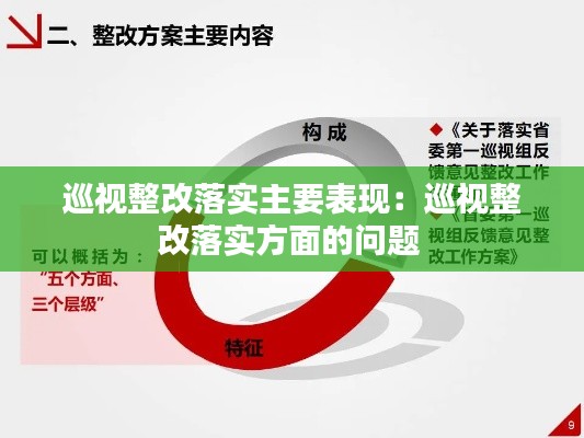 巡视整改落实主要表现:巡视整改落实方面的问题