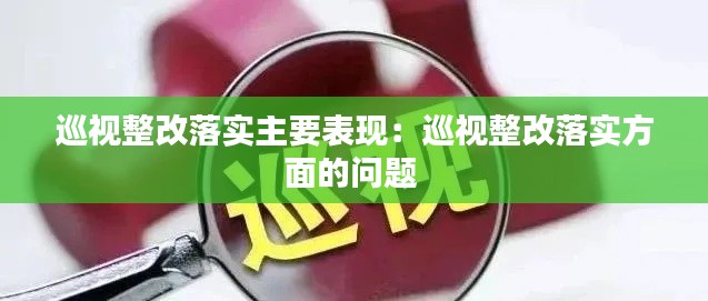 巡视整改落实主要表现:巡视整改落实方面的问题
