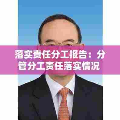 落实责任分工报告:分管分工责任落实情况