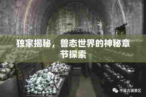 独家揭秘，兽态世界的神秘章节探索