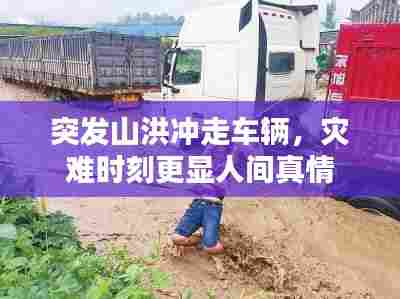 淡妆浓抹 第7页