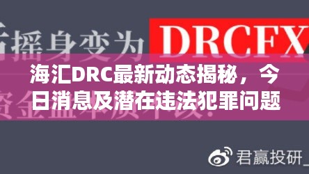海汇DRC最新动态揭秘，今日消息及潜在违法犯罪问题探讨