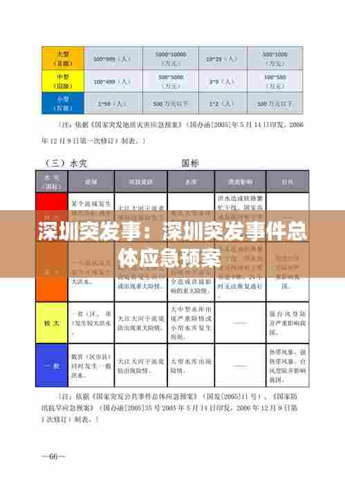 深圳突发事:深圳突发事件总体应急预案