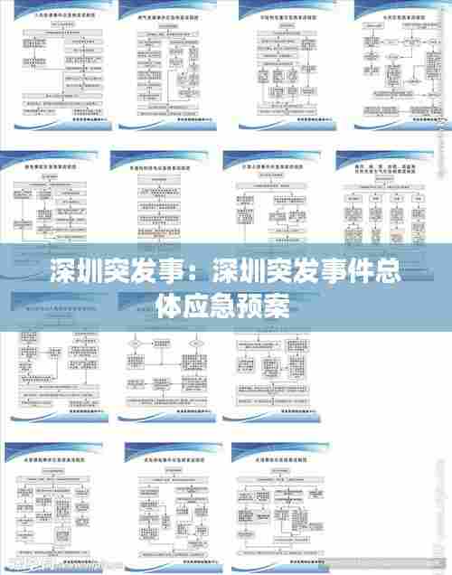 深圳突发事:深圳突发事件总体应急预案