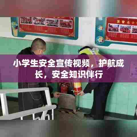 小学生安全宣传视频,护航成长,安全知识伴行