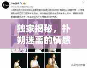 独家揭秘,扑朔迷离的情感密爱绯闻旅程