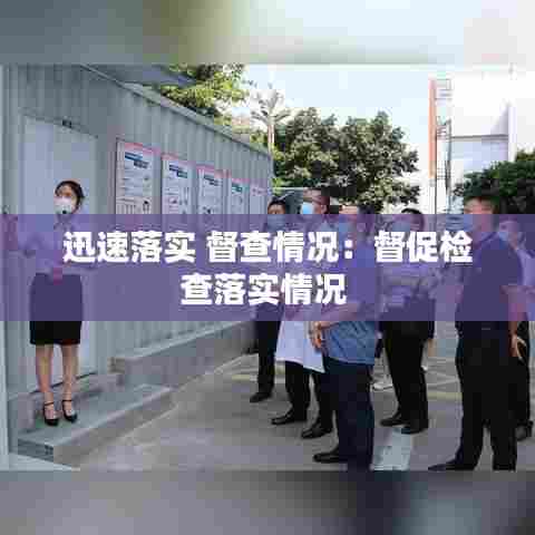 迅速落实 督查情况:督促检查落实情况