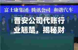 晋安公司代账行业翘楚,揭秘财务代理行业的领军地位