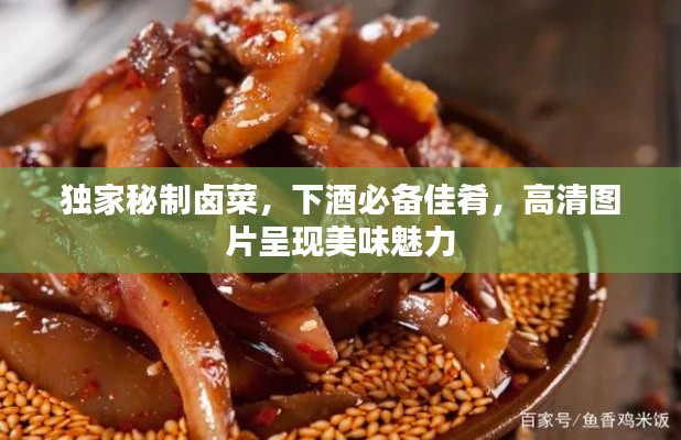 独家秘制卤菜，下酒必备佳肴，高清图片呈现美味魅力