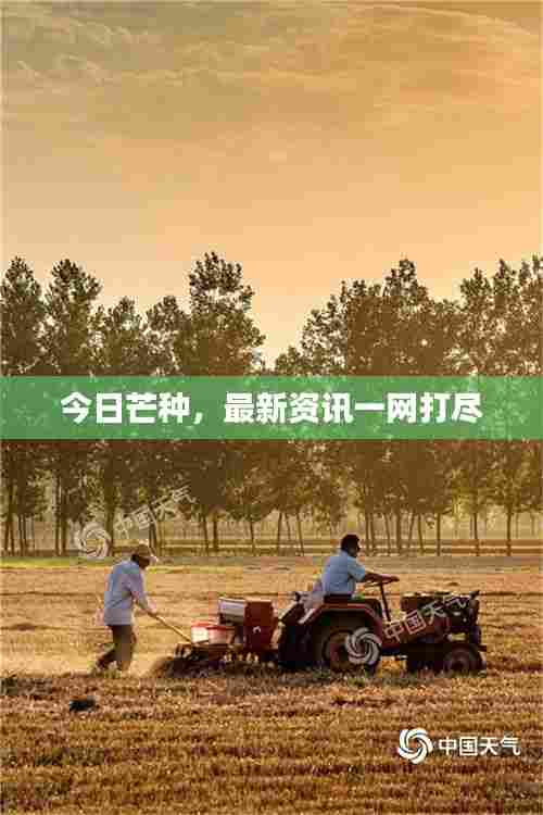 今日芒种,最新资讯一网打尽