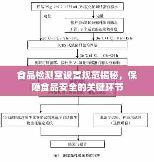 食品检测室设置规范揭秘，保障食品安全的关键环节