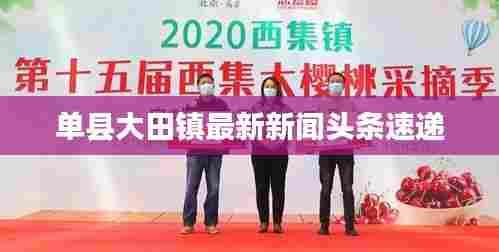 单县大田镇最新新闻头条速递