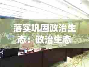 落实巩固政治生态:政治生态巩固提升