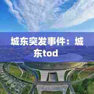 城东突发事件:城东tod