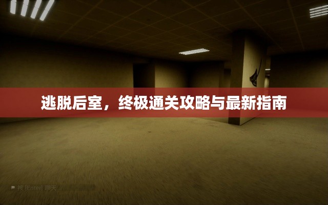 逃脱后室，终极通关攻略与最新指南