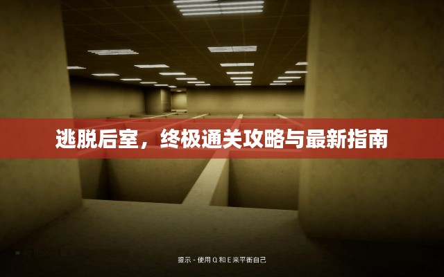 逃脱后室,终极通关攻略与最新指南