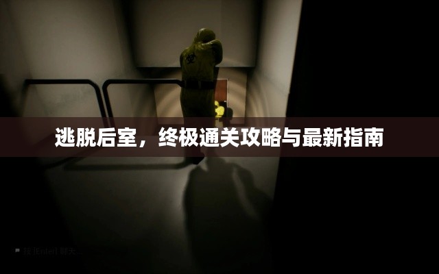 逃脱后室,终极通关攻略与最新指南