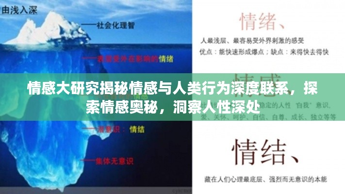 情感大研究揭秘情感与人类行为深度联系，探索情感奥秘，洞察人性深处