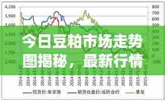 今日豆粕市场走势图揭秘，最新行情分析与未来展望