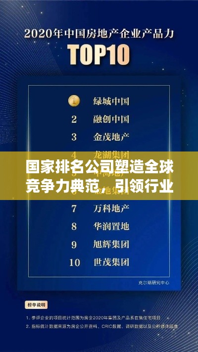 国家排名公司塑造全球竞争力典范，引领行业走向辉煌之巅