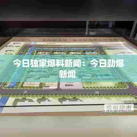 今日独家爆料新闻:今日劲爆新闻