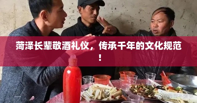 菏泽长辈敬酒礼仪,传承千年的文化规范!