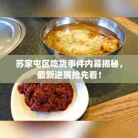 苏家屯区吃货事件内幕揭秘，最新进展抢先看！