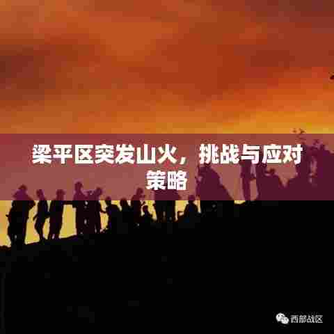 梁平区突发山火，挑战与应对策略