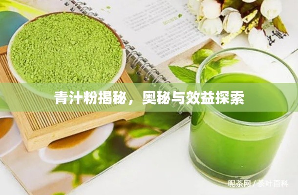 富贵荣华 第8页