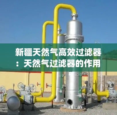 新疆天然气高效过滤器：天然气过滤器的作用 