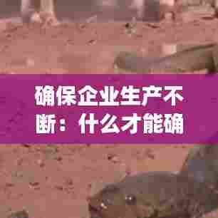 确保企业生产不断:什么才能确保企业长期生存