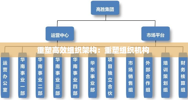 重塑高效组织架构：重塑组织机构 