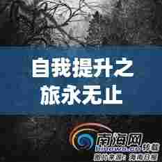 自我提升之旅永无止境，不断前行的成长之路