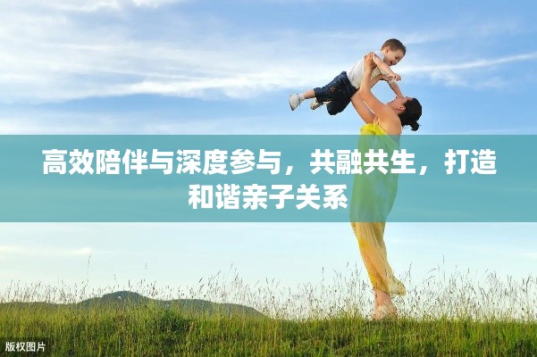 高效陪伴与深度参与,共融共生,打造和谐亲子关系