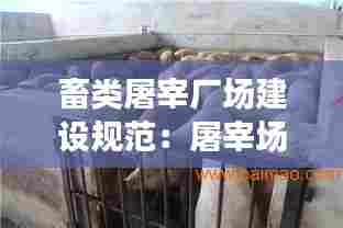 畜类屠宰厂场建设规范：屠宰场建设方案 