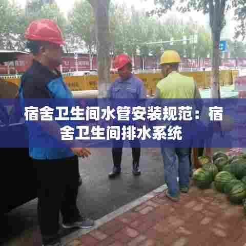 宿舍卫生间水管安装规范:宿舍卫生间排水系统