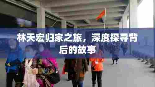 林天宏归家之旅,深度探寻背后的故事