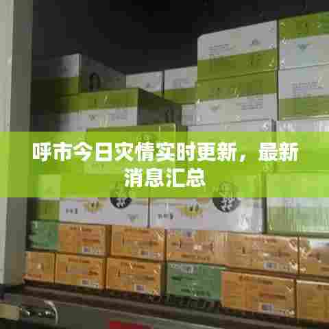 呼市今日灾情实时更新，最新消息汇总