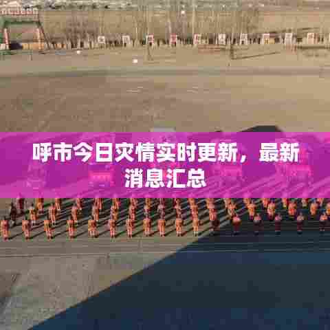 呼市今日灾情实时更新,最新消息汇总
