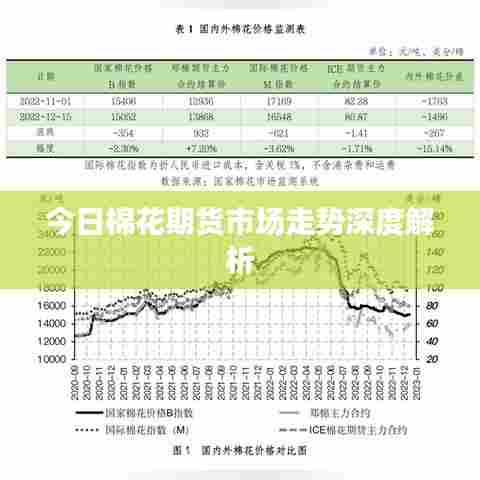 今日棉花期货市场走势深度解析