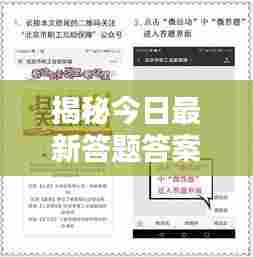 揭秘今日最新答题答案,不容错过!