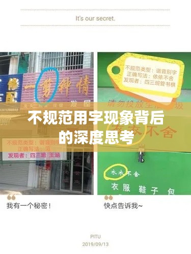 不规范用字现象背后的深度思考