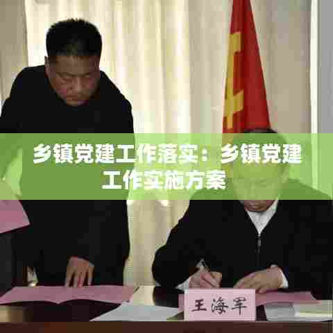 乡镇党建工作落实：乡镇党建工作实施方案 