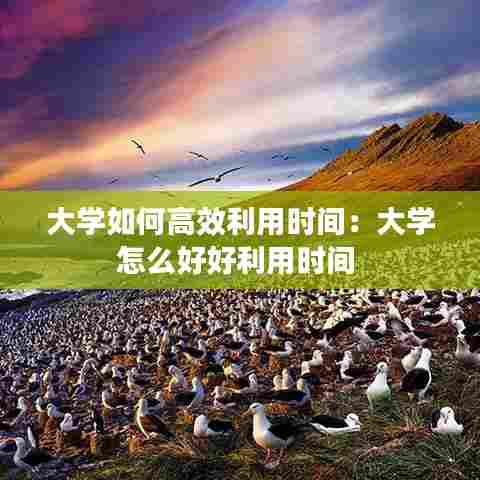 大学如何高效利用时间：大学怎么好好利用时间 