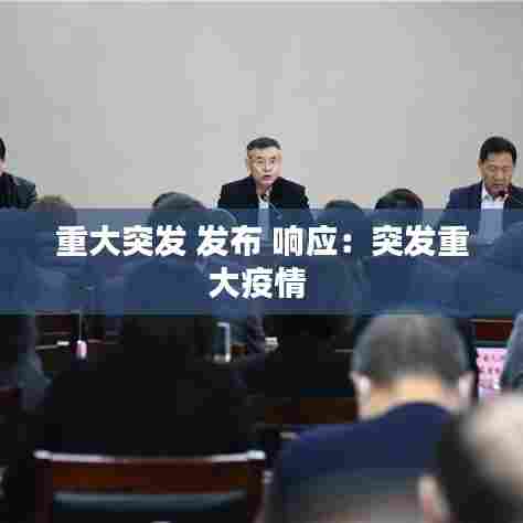 重大突发 发布 响应:突发重大疫情